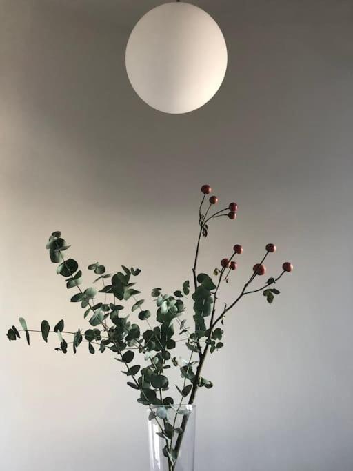 Big Bright Cozy Studio Apartment In Nolo Near Mm1 ミラノ エクステリア 写真